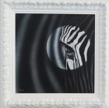Zebra, 28x28cm, acryl/airbrush